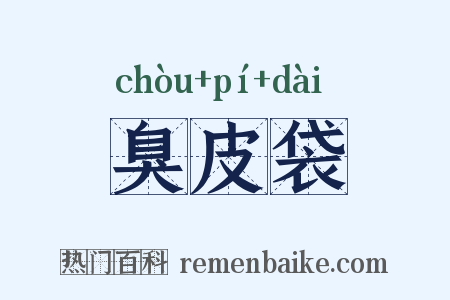 臭皮袋是什么意思的图片